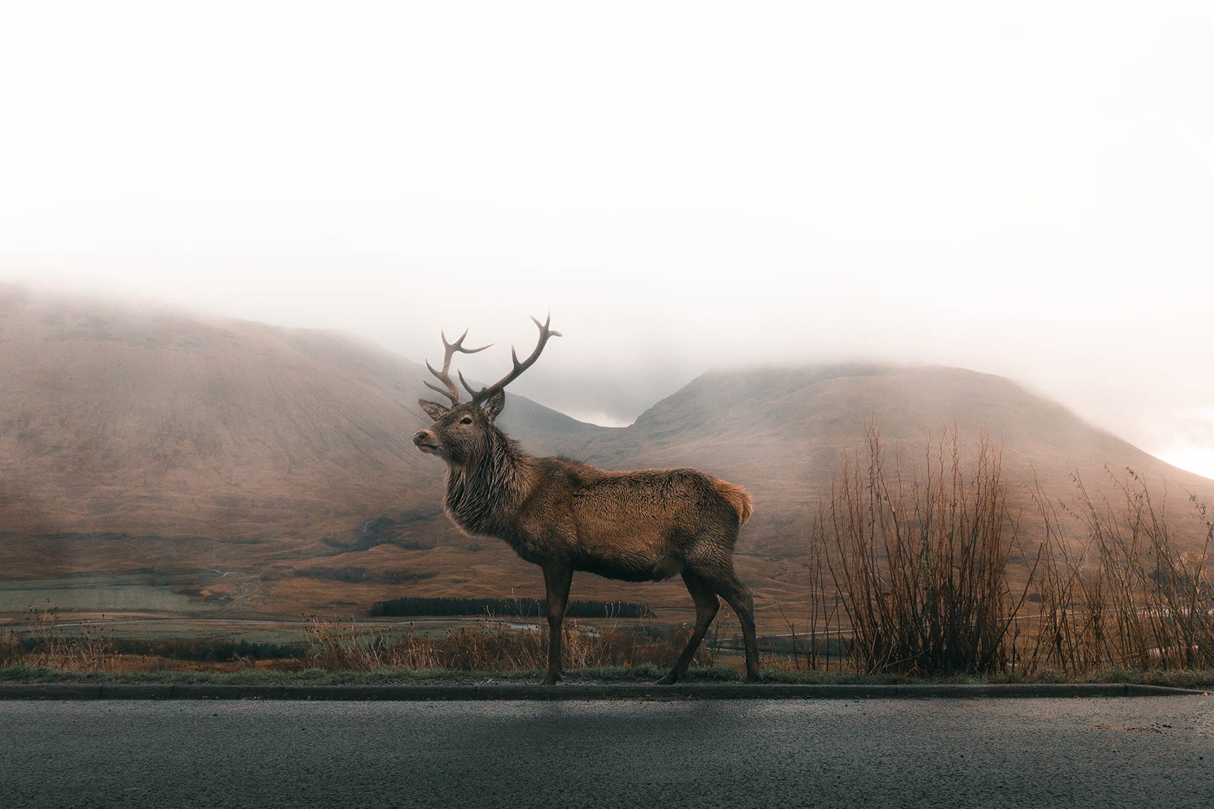 1. Wildlife Expedition